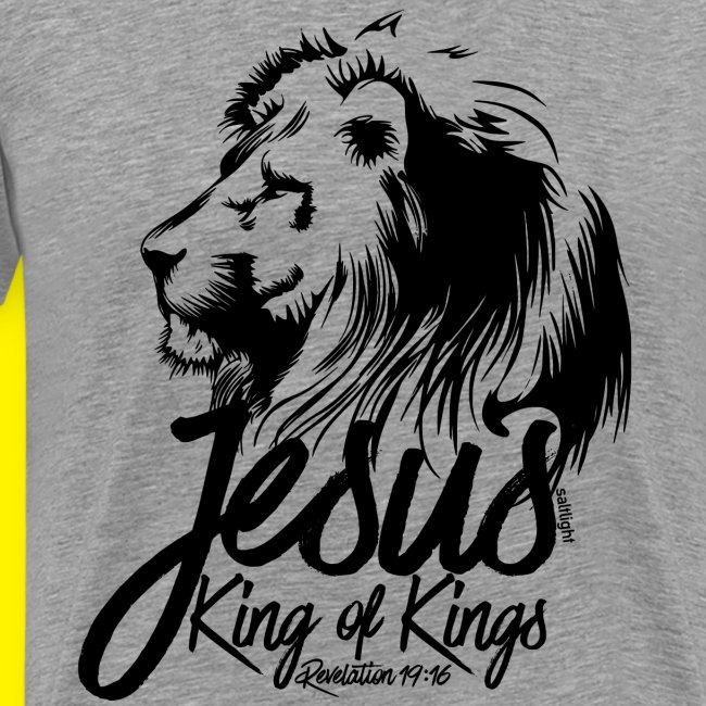 JESUS - KING OF KINGS - Revelations 19:16 - LION