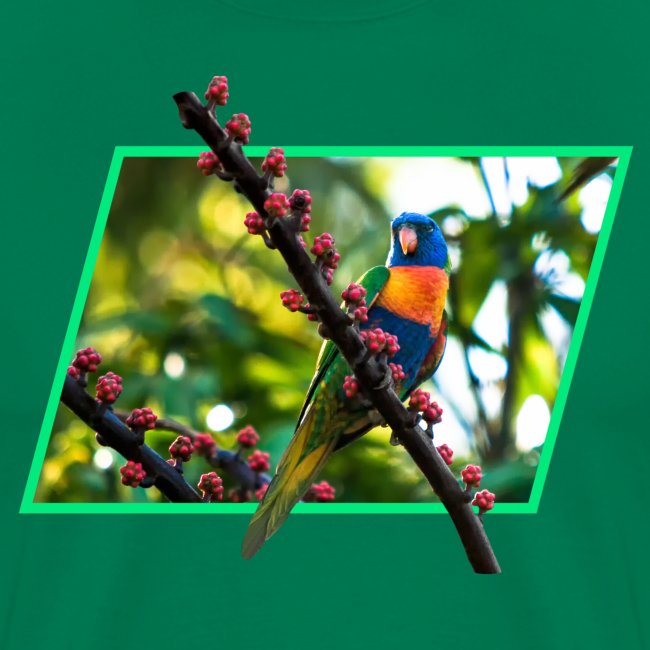 Bunter Papagei auf einem Ast vor einem Rahmen