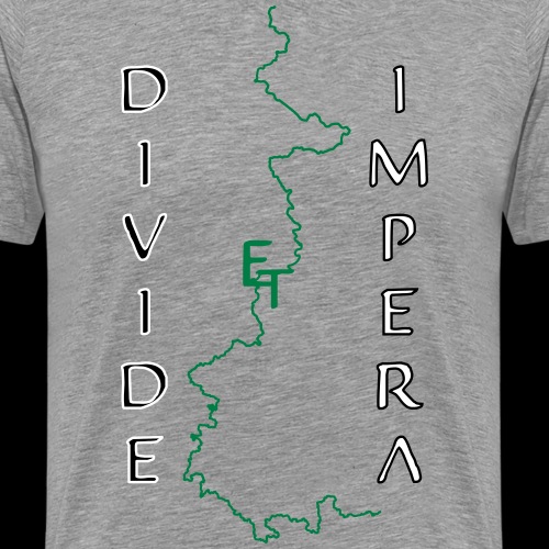 divide deutschland - Männer Premium T-Shirt