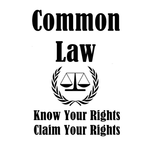 Know Your Rights - Men's Premium T-Shirt