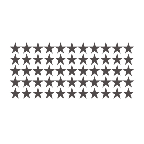 55 Stars - Miesten premium t-paita