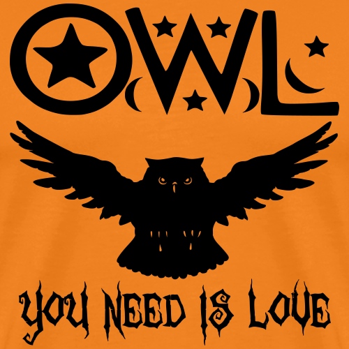 Owl you need is Love - Männer Premium T-Shirt