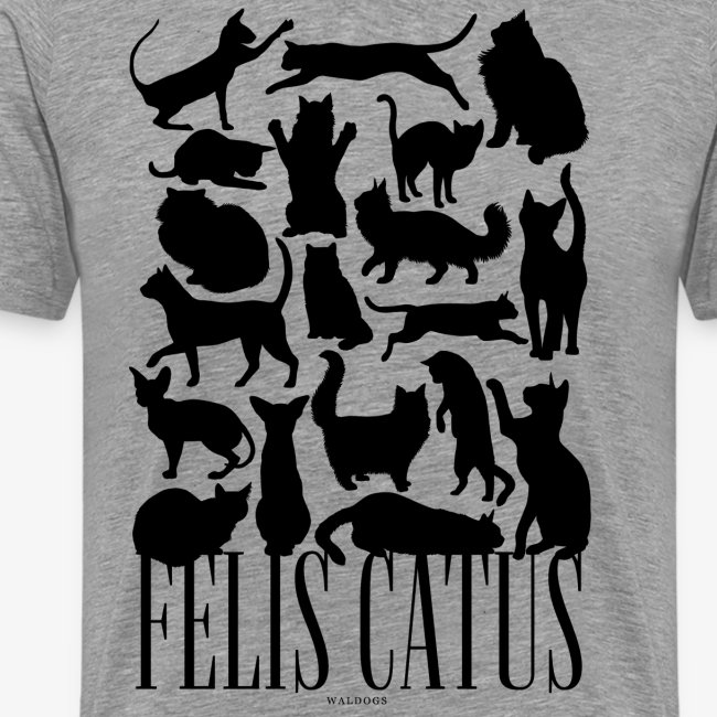 Felis Catus Black