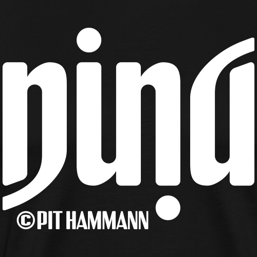 Ambigramm Nina 01 Pit Hammann