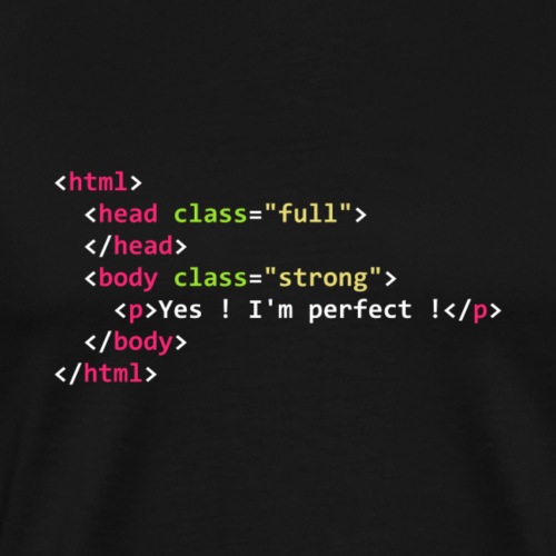 HTML perfect - T-shirt Premium Homme