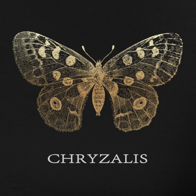 Chrysalis-transparent-PNG