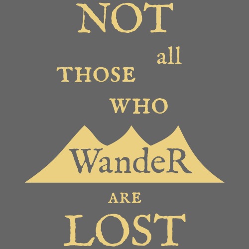 NOT all those who wander are LOST - Herre premium T-shirt