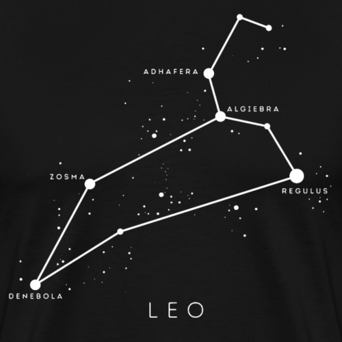 Leo Constellation Astronomy - Herre premium T-shirt