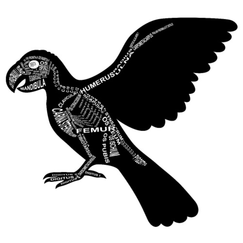 Papagei-Skelett - Maglietta Premium da uomo