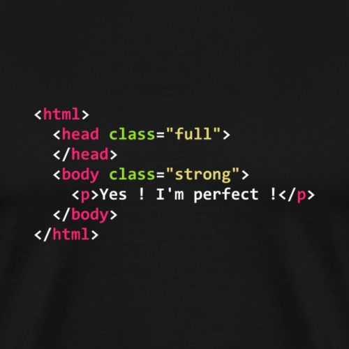 HTML perfect - T-shirt Premium Homme