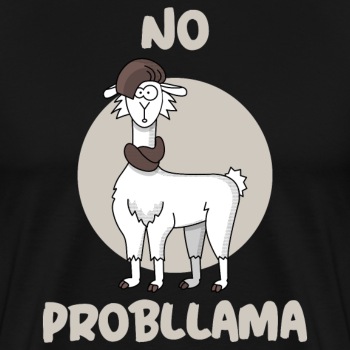 No probllama - Hoodies for men