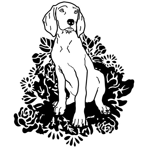 Weimaraner pup flower - www.dog-power.nl © - Mannen Premium T-shirt