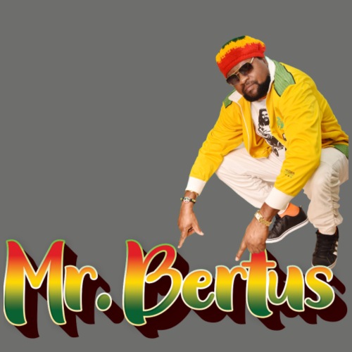 MR. BERTUS Reggae - Männer Premium T-Shirt