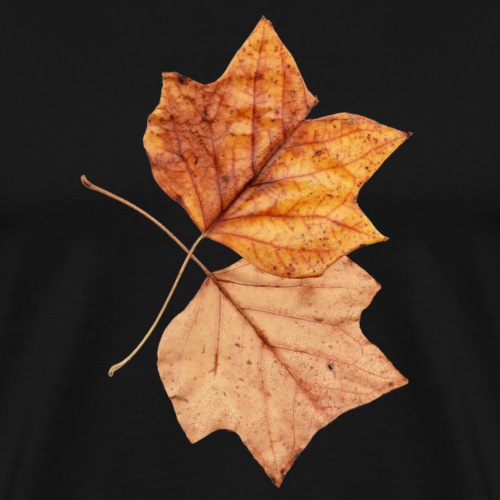 leaves - Men's Premium T-Shirt