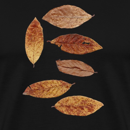 Bunte Blätter - Männer Premium T-Shirt