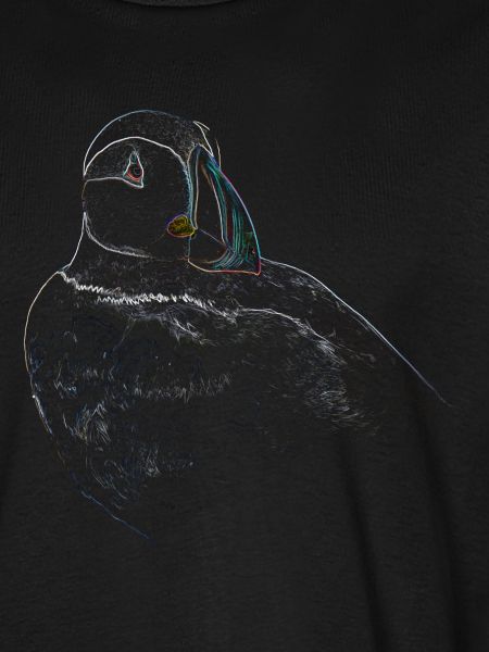 Papageientaucher-Portrait