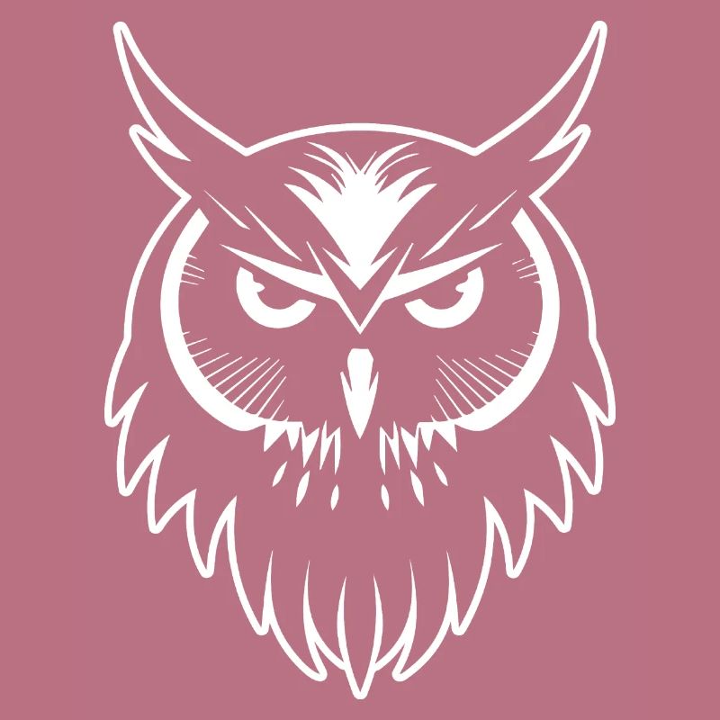 Eule Eulen Vogel Vögel