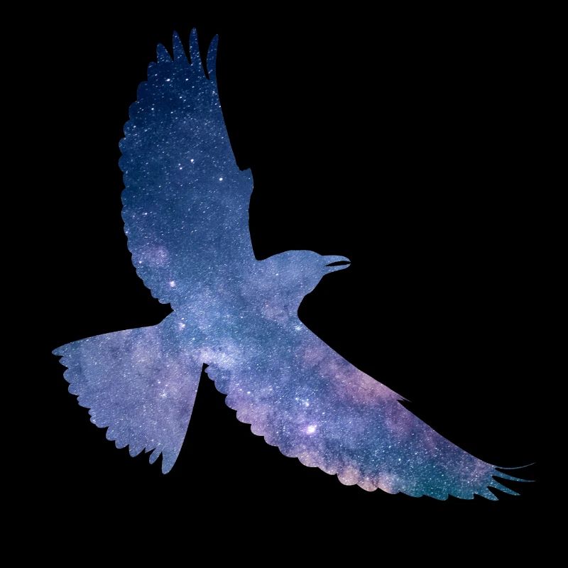 Oiseau de l’espace