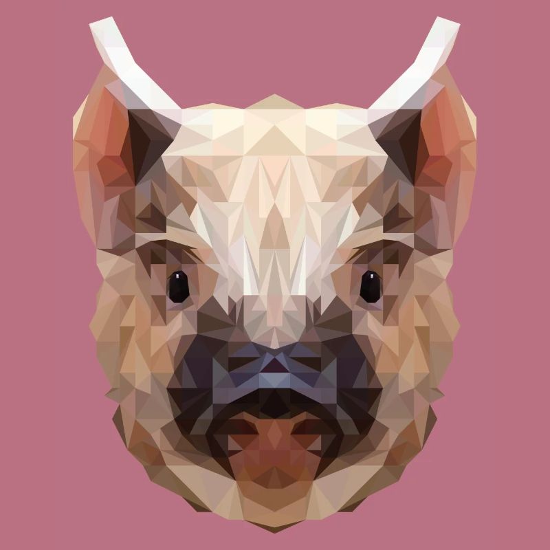 Polygone cochon