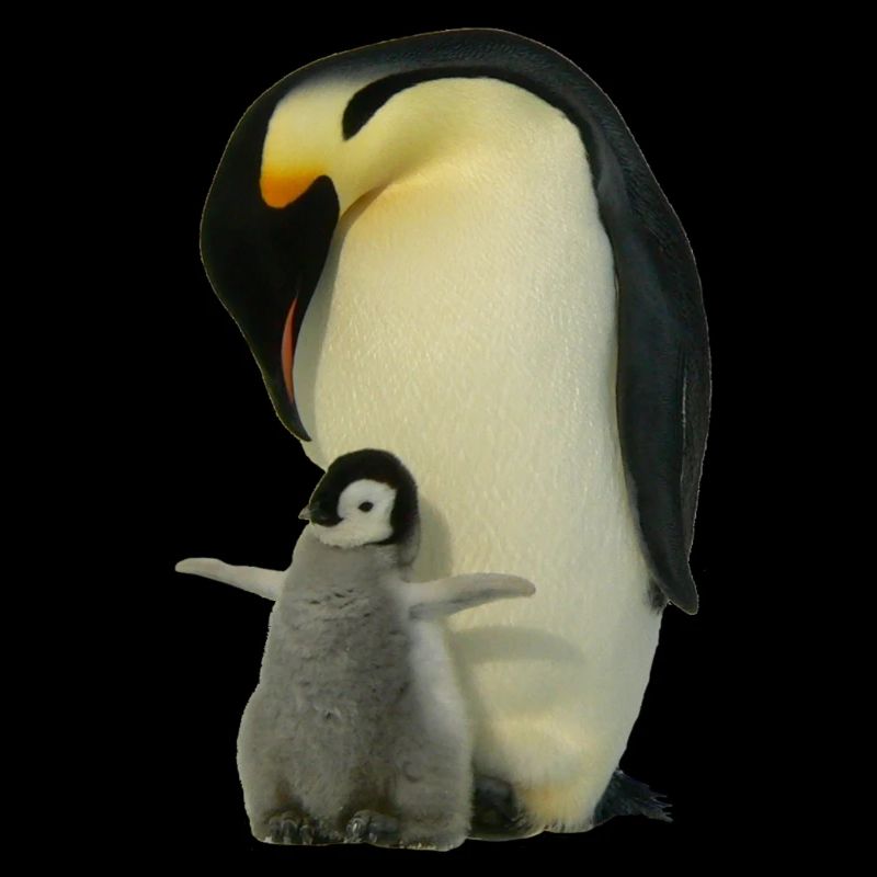 Pingouin avec bébé
