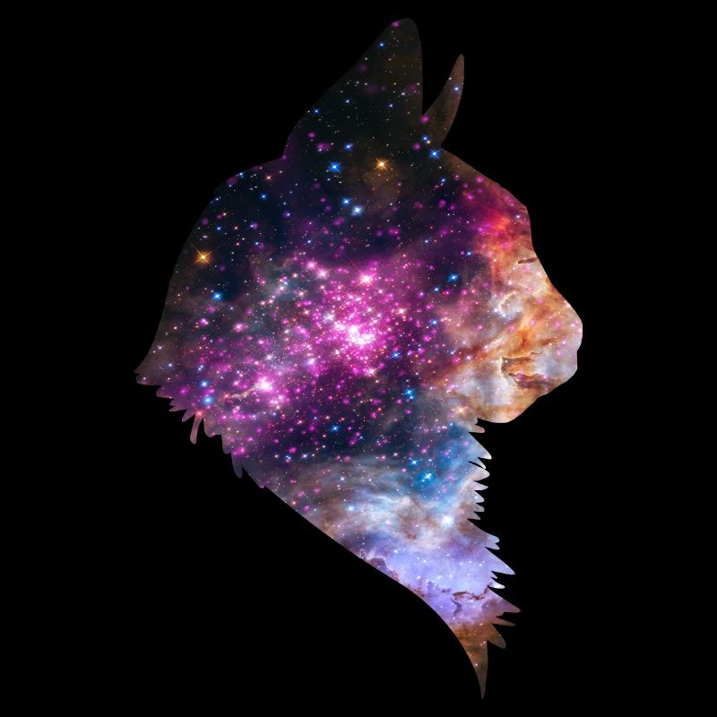 Espace chat espace chat