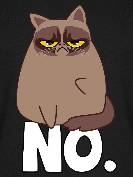 Grumpy Cat