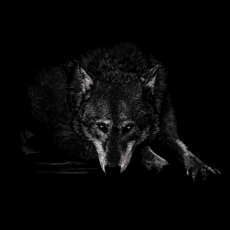Wolf