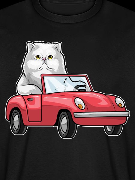 Persische Katze Auto