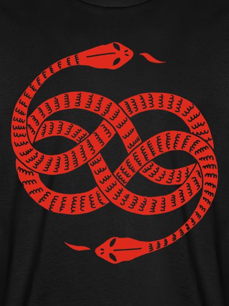 Infinite Red Snakes