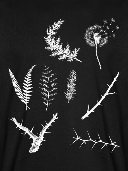 Rosmarin & Farn & Pusteblume - Dark Botanical
