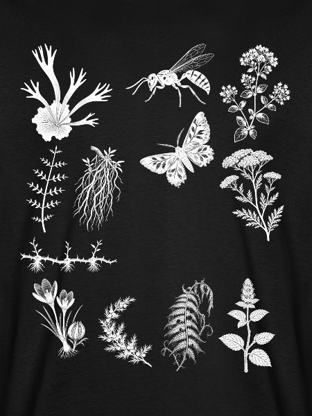 Kräuter & Wacholder & Farn - Botanische Kunst
