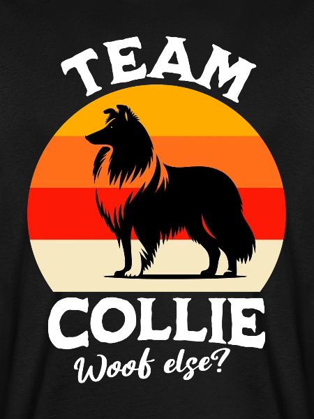 Team Langhaar Collie