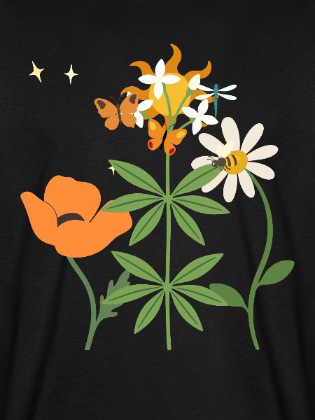 Mohn Blumen Gänseblümchen Waldmeister botanisch