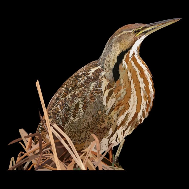 Lentiginous Bittern