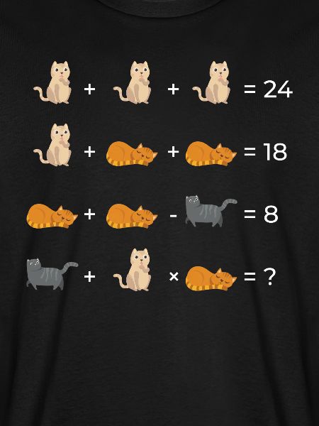 Kat Matematik Matematik Lærer Ligninger Gave