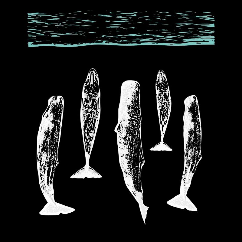 spermwhale plain white