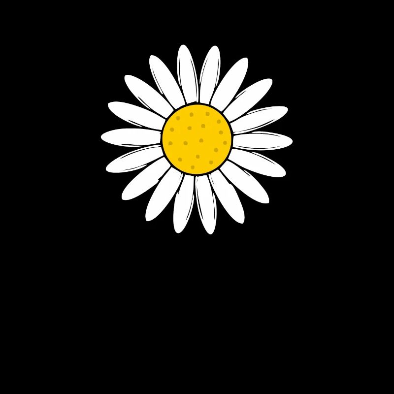 Daisy flower