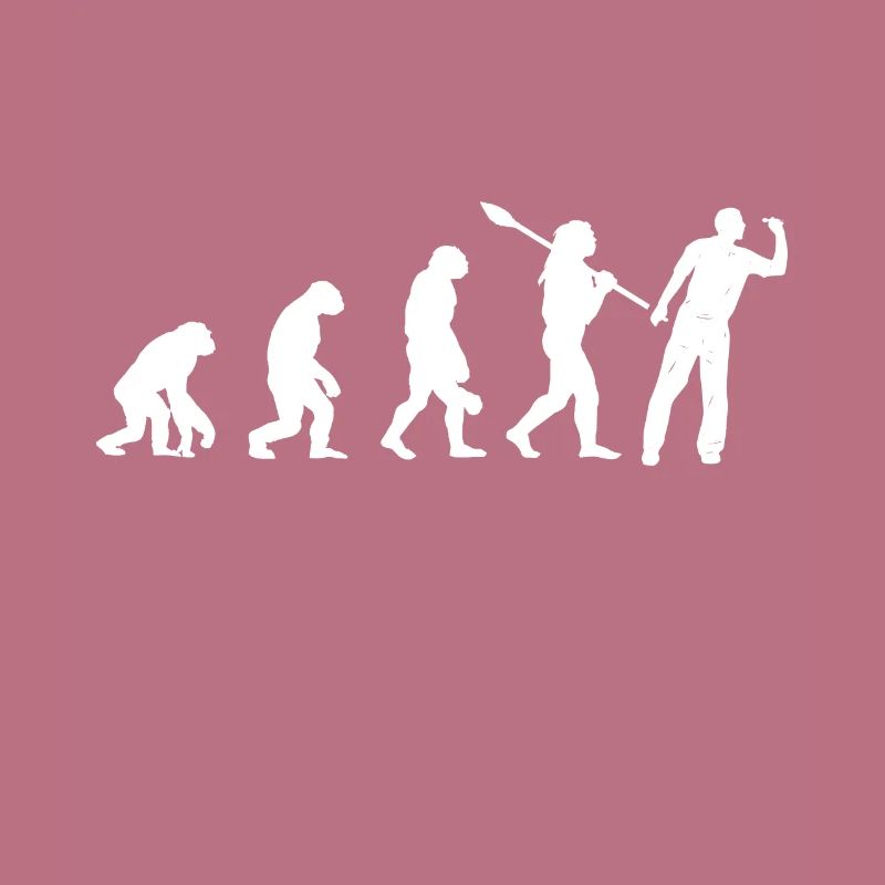 Fléchettes Evolution Fléchettes Fléchettes