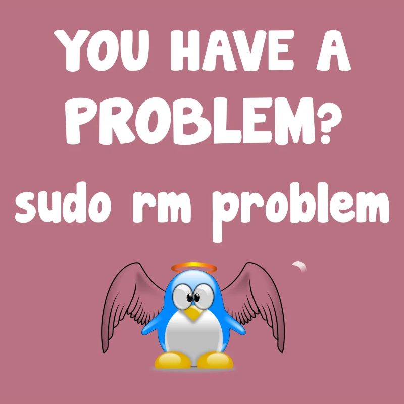 Linux sudo rm problème programmeur proverbe