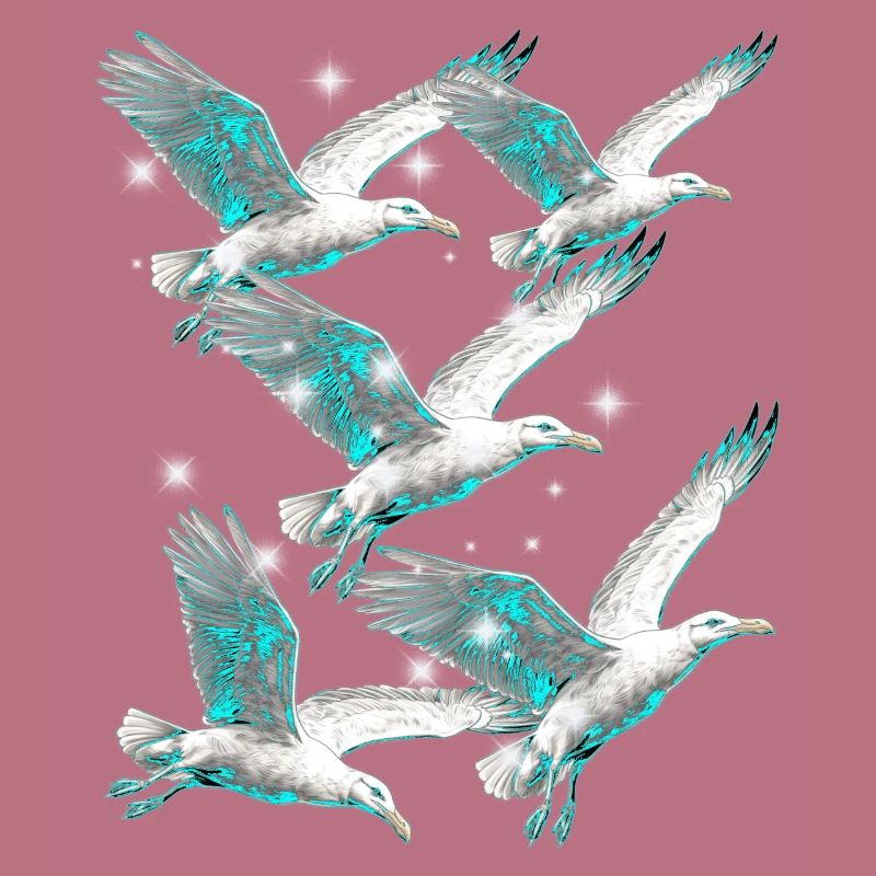 Maritim Möwe Möwen Seevögel