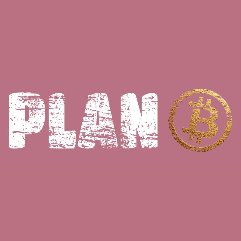 Plan B Bitcoin Krypto Crypto BTC