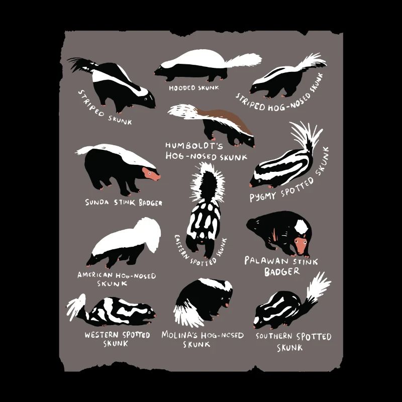 Skunk