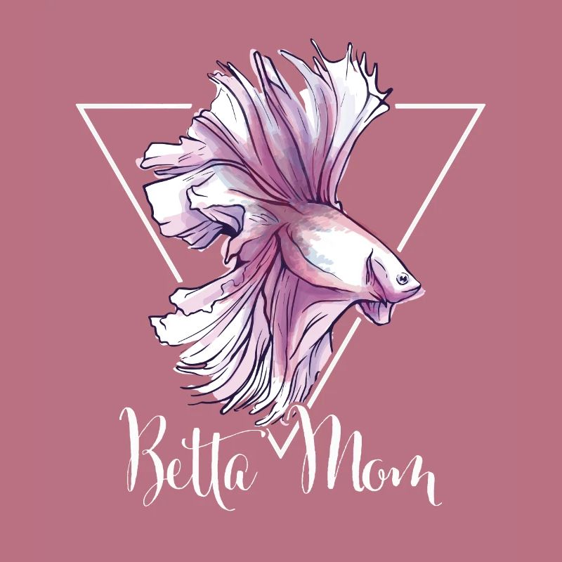 Betta Mom Fish Splendens Siamese Fighting Fish