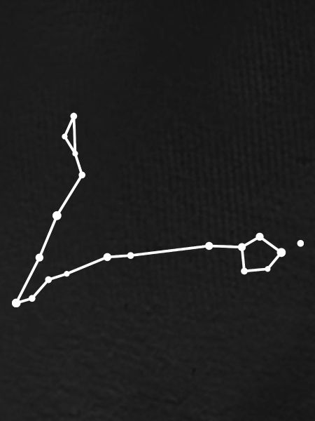Sternbild Fische Linienzeichnung