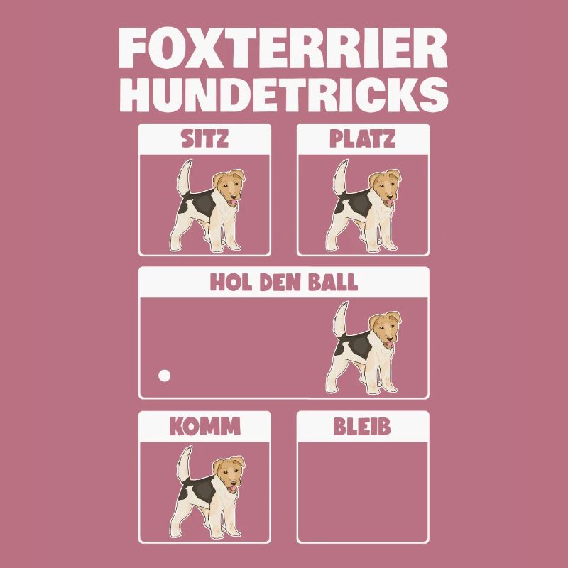 Foxterrier Hundetricks Drahthaar-Foxterrier