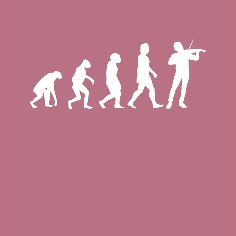 Violinist Evolution Violin Violinist Violin