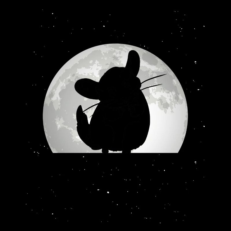 Chinchilla Moon Souris Laineuse