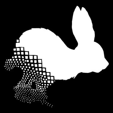 lapin blanc