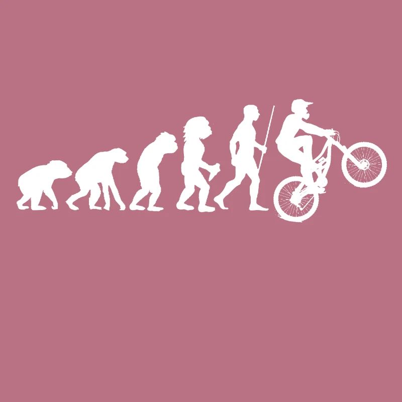 Bicycle evolution