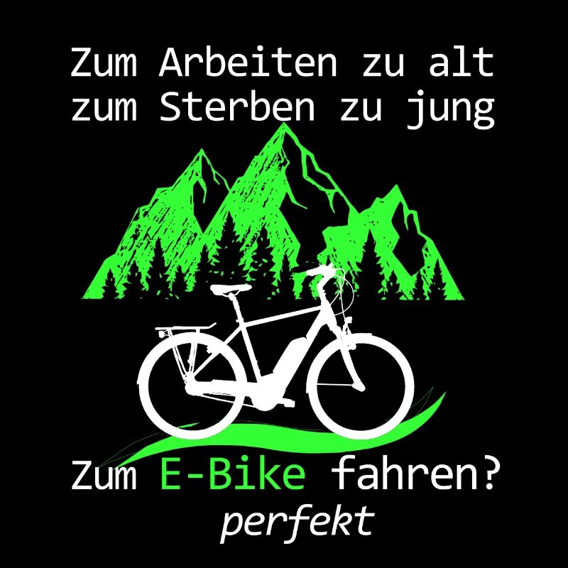 Lustiger E Bike Spruch perfektes Alter